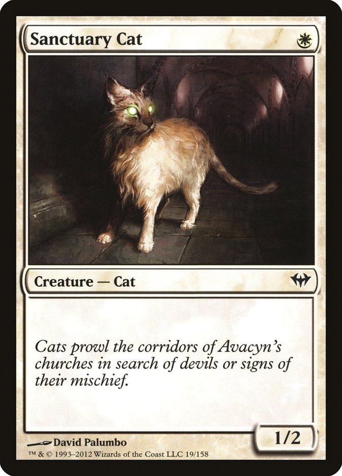 Sanctuary Cat (19) [Dark Ascension] | Odin's Place