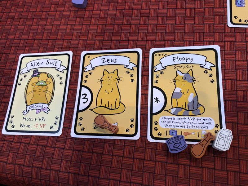 Cat Lady Premium Edition | Odin's Place
