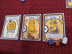 Cat Lady Premium Edition | Odin's Place