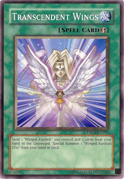 Transcendent Wings [DR04-EN045] Common | Odin's Place