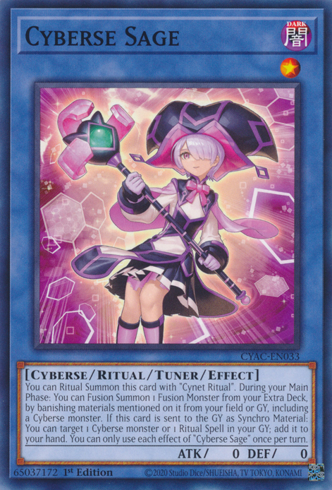 Cyberse Sage [CYAC-EN033] Common | Odin's Place