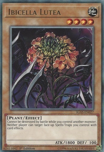 Ibicella Lutea [MP21-EN009] Common | Odin's Place