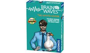 Brain Waves The Astute Goose | Odin's Place