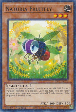 Naturia Fruitfly (Duel Terminal) [HAC1-EN106] Common | Odin's Place