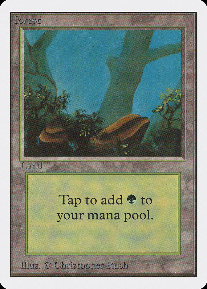 Forest (300) [Unlimited Edition] | Odin's Place