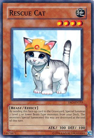 Rescue Cat [DR3-EN153] Common | Odin's Place
