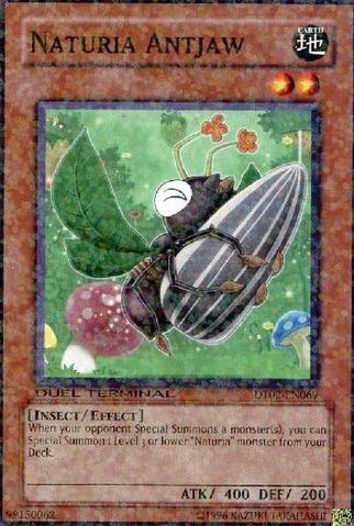 Naturia Antjaw [DT02-EN069] Common | Odin's Place
