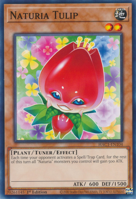 Naturia Tulip [HAC1-EN104] Common | Odin's Place