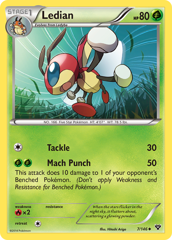 Ledian (7/146) [XY: Base Set] | Odin's Place