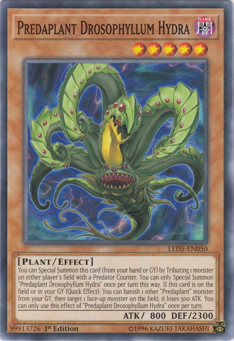 Predaplant Drosophyllum Hydra [LED5-EN050] Common | Odin's Place