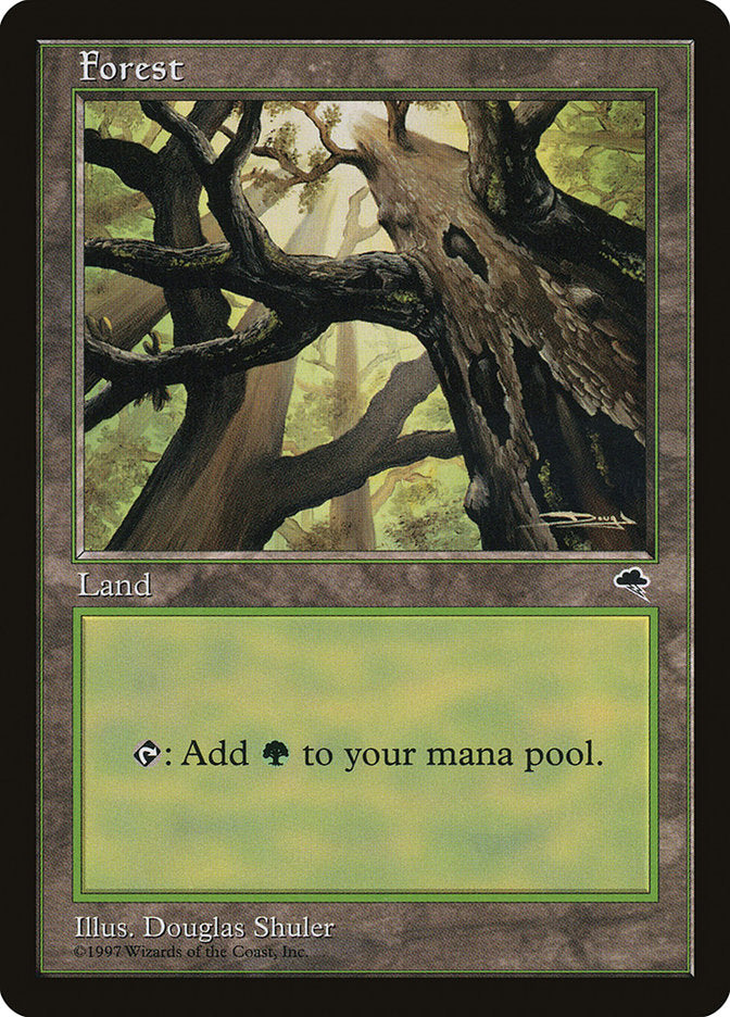 Forest (Looking from Below) [Tempest] | Odin's Place