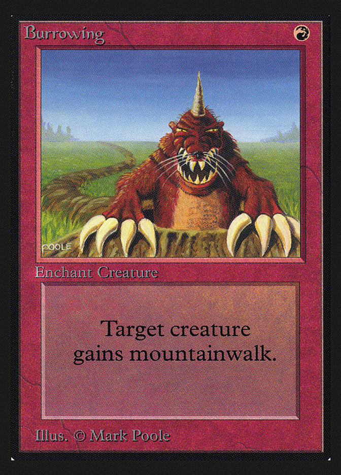 Burrowing [Collectors' Edition] | Odin's Place