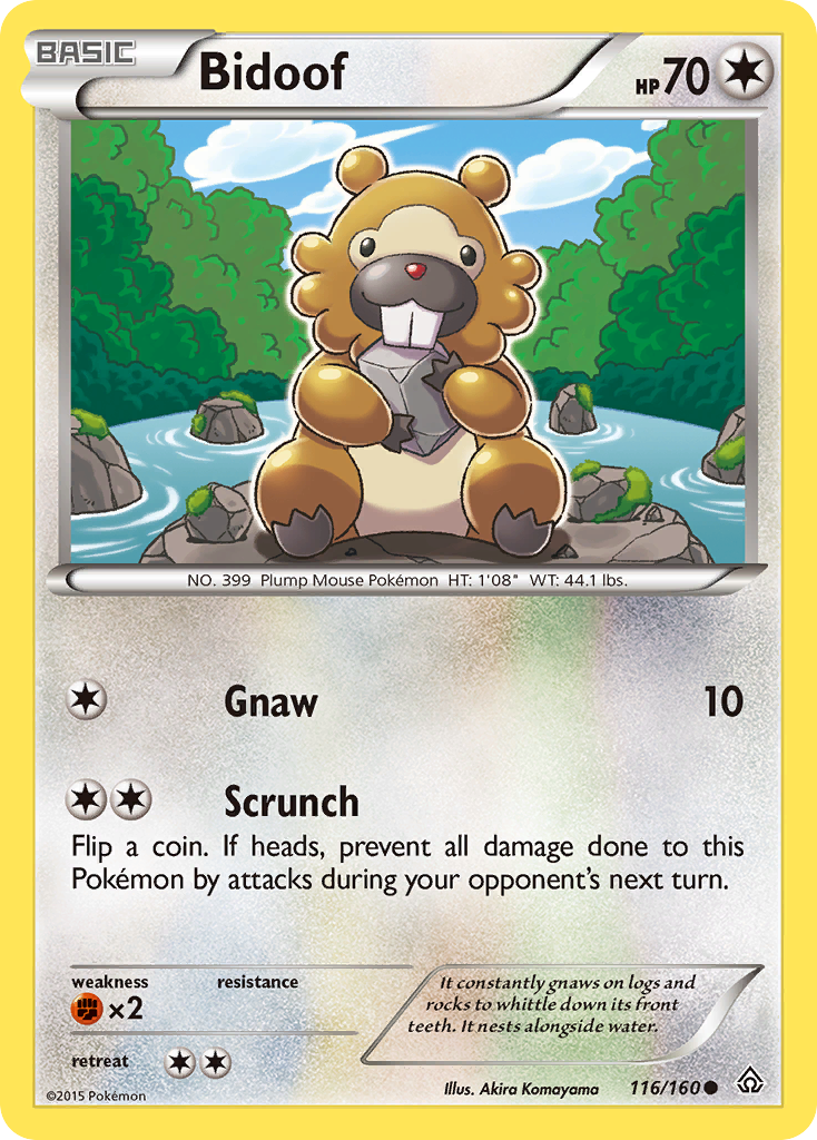 Bidoof (116/160) [XY: Primal Clash] | Odin's Place