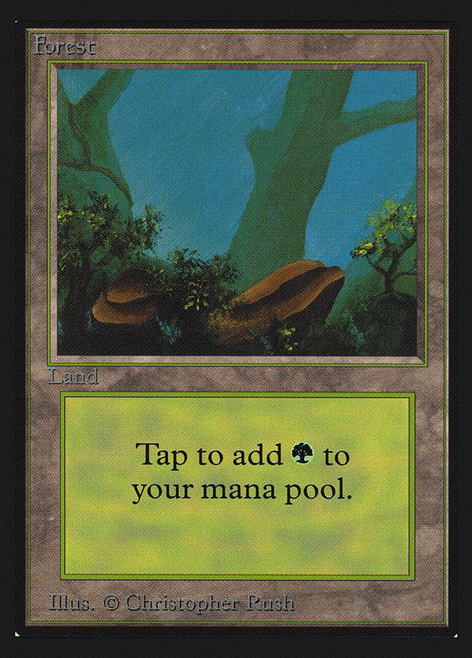 Forest (Two Stones) [Collectors' Edition] | Odin's Place