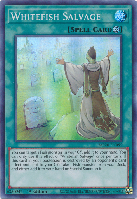 Whitefish Salvage [MP20-EN099] Super Rare | Odin's Place