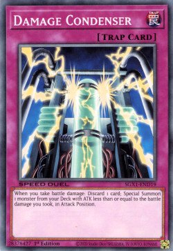 Damage Condenser [SGX1-END19] Common | Odin's Place