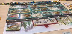 Freshwater Fly | Odin's Place