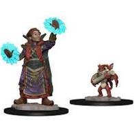 Wizkids Wardlings: W1 Boy Wizard & Imp | Odin's Place