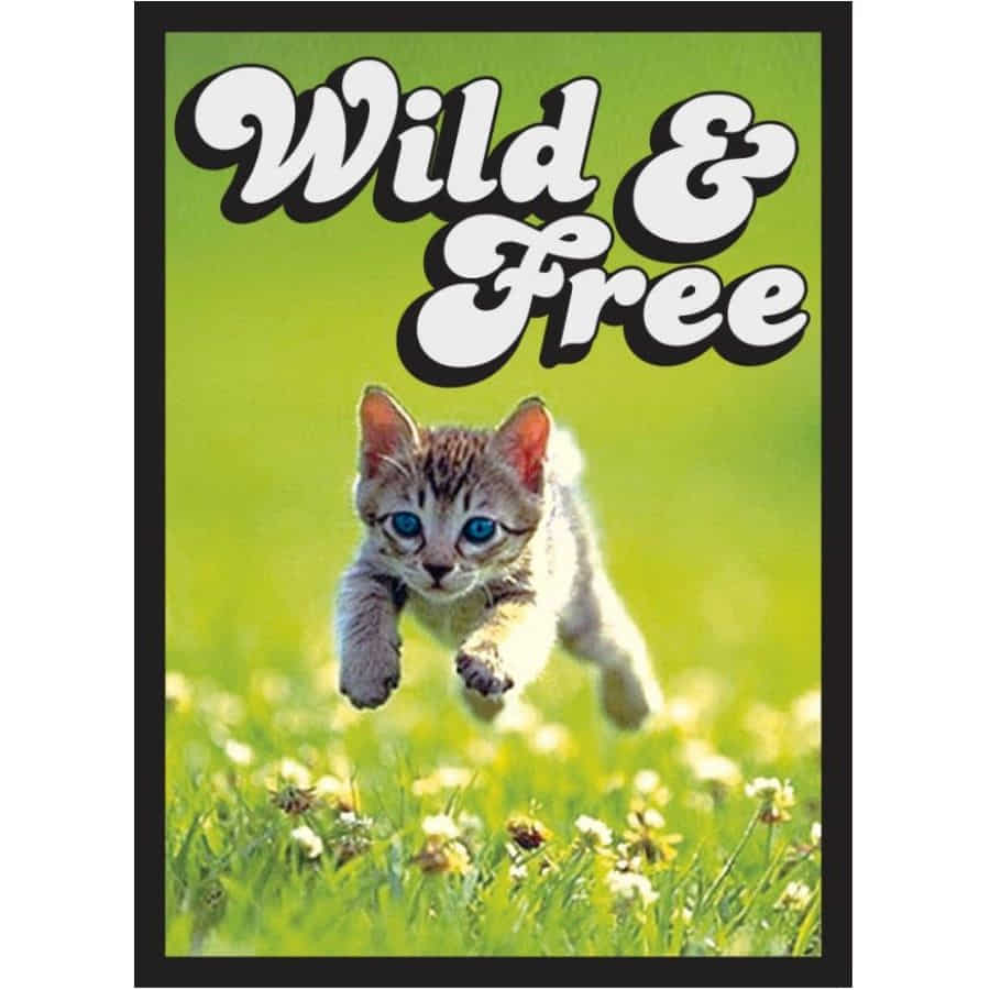 LEGION DOUBLE MATTE SLEEVES: WILD AND FREE KITTEN | Odin's Place