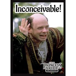 Legion Matte Card Sleeves: The Princess Bride - Inconceivable | Odin's Place