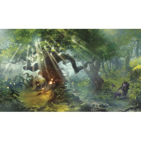 Legion Playmat: Lands - Forest | Odin's Place