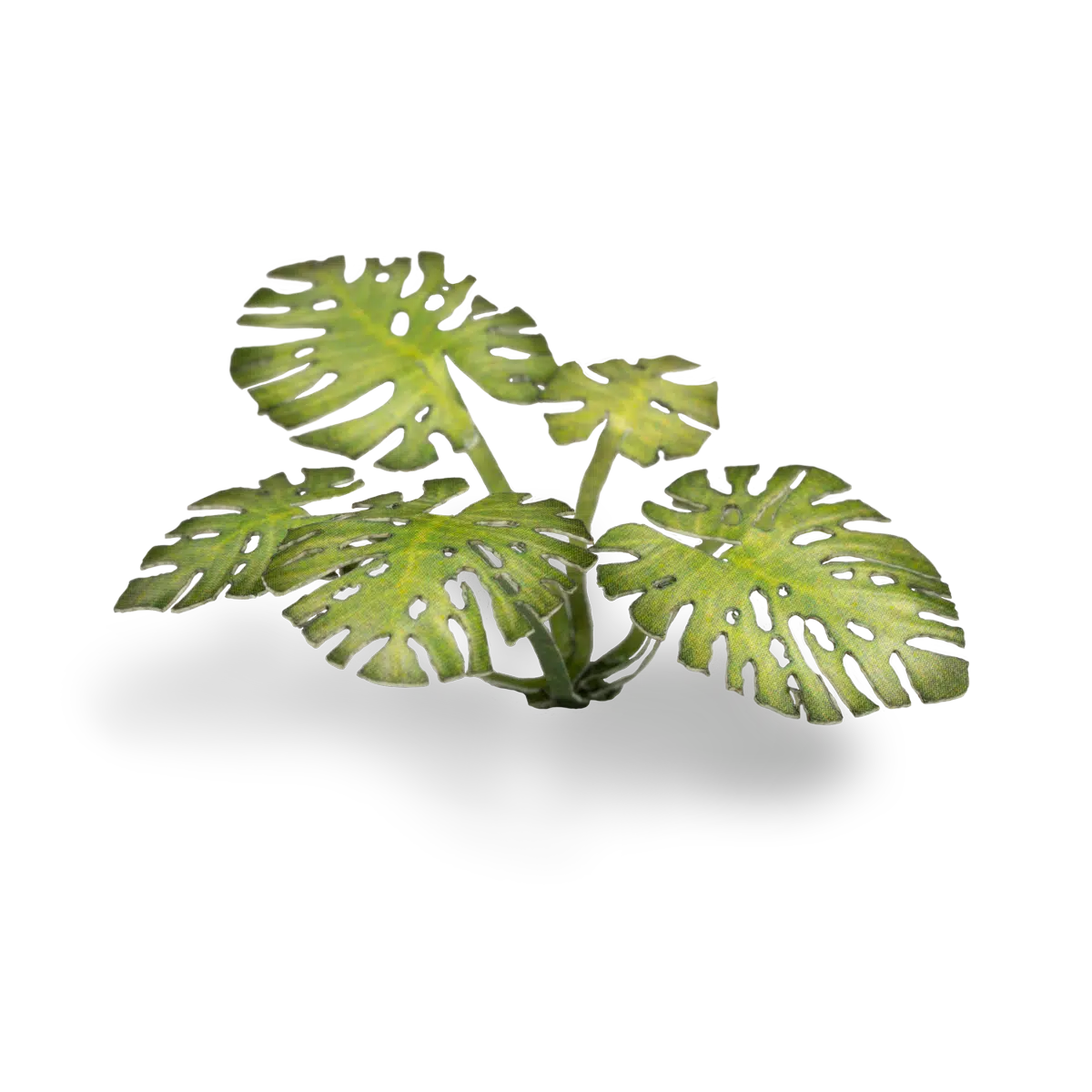 Gamers Grass Laser Plants Assorted Styles | Odin's Place