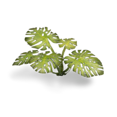 Gamers Grass Laser Plants Assorted Styles | Odin's Place