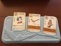 Wingspan - Second Edition | Odin's Place