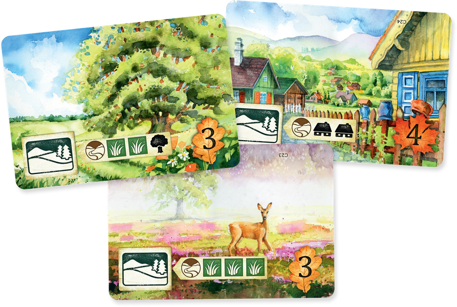 Meadow | Odin's Place