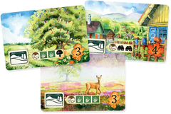 Meadow | Odin's Place