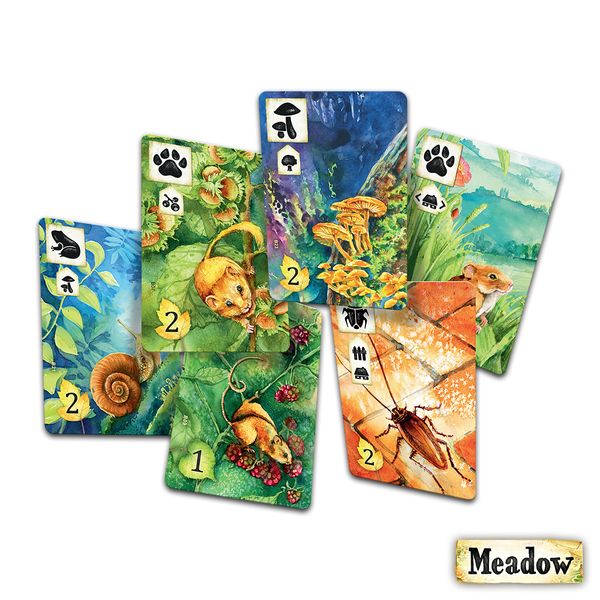 Meadow | Odin's Place