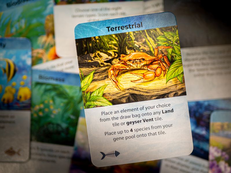 Dominant Species Marine | Odin's Place