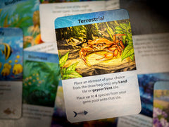 Dominant Species Marine | Odin's Place