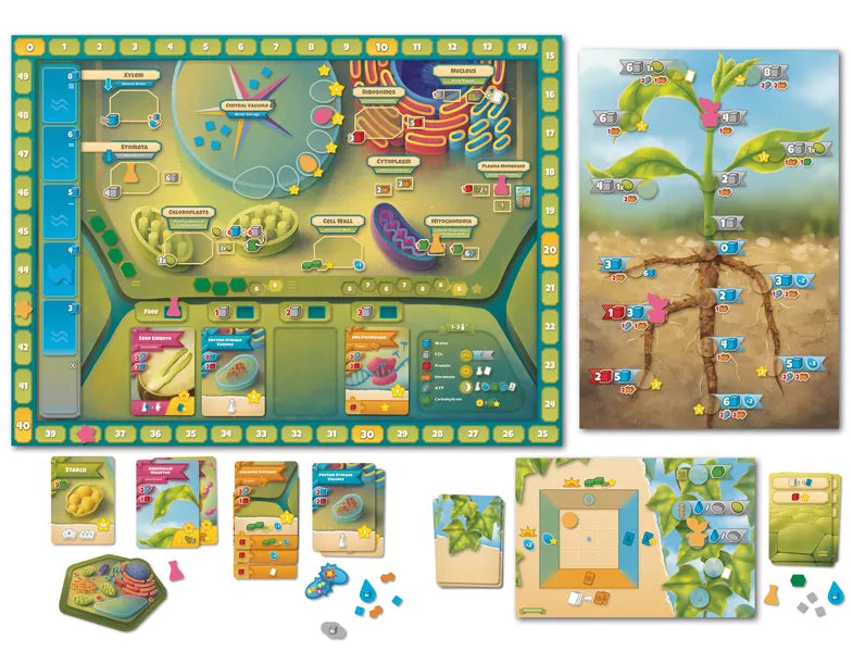 Cellulose: A Plant Cell Biology Game | Odin's Place
