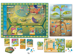 Cellulose: A Plant Cell Biology Game | Odin's Place