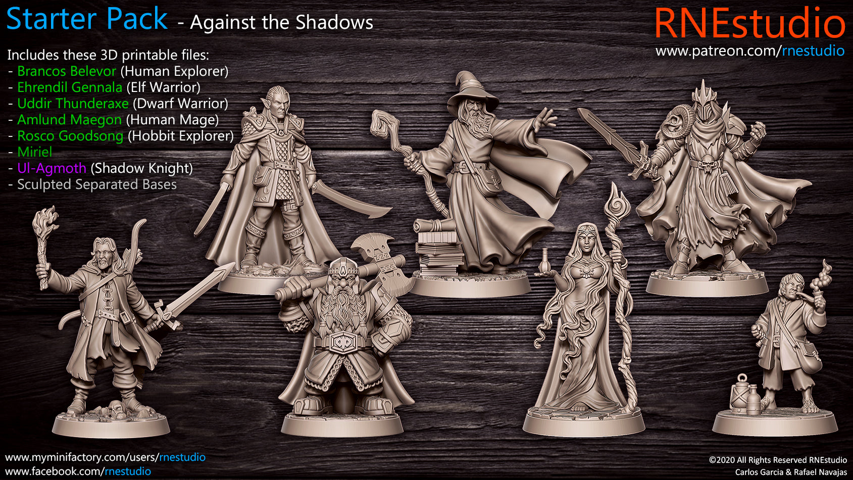 Dragon's Lair Printed Mini: Against the Shadows Set | Odin's Place