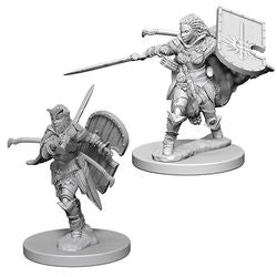 Wizkids Pathfinder: DEEP CUTS UNPAINTED MINIATURES -W1-FEMALE HUMAN PALADIN | Odin's Place