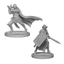 Wizkids Pathfinder: DEEP CUTS UNPAINTED MINIATURES -W2-MALE ELF PALADIN | Odin's Place