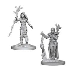 Wizkids Dungeons and Dragons: NOLZUR'S MARVELOUS UNPAINTED MINIATURES -W2-FEMALE HUMAN DRUID | Odin's Place