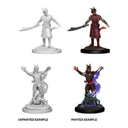 Wizkids Dungeons and Dragons: NOLZUR'S MARVELOUS UNPAINTED MINIATURES -W6-MALE TIEFLING WARLOCK | Odin's Place