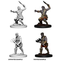 Wizkids Dungeons and Dragons: NOLZUR'S MARVELOUS UNPAINTED MINIATURES -W6-NAMELESS ONE | Odin's Place