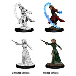 Wizkids Pathfinder: DEEP CUTS UNPAINTED MINIATURES -W6-FEMALE HUMAN WIZARD | Odin's Place